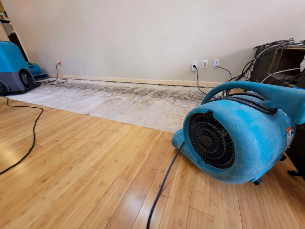 Professional Basement Flood Cleanup technician working in Pope, MS